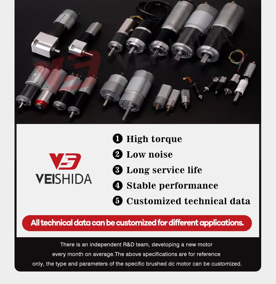 12v dc motor high torque low rpm