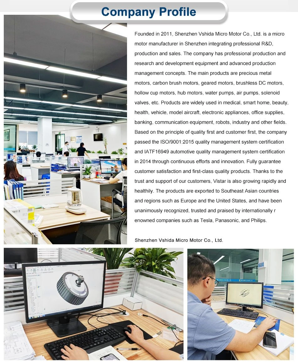 GN20 gear motor company description
