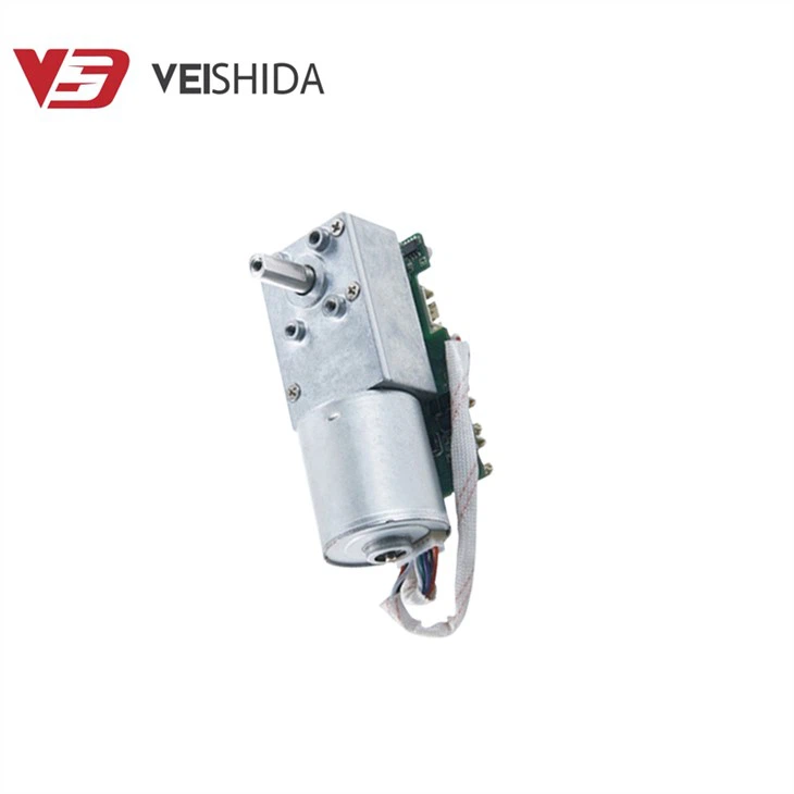 DC Worm Gear Motor With Gearbox