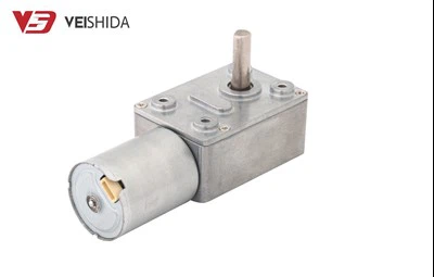 انکوڈر کے ساتھ کیڑا گیئر موٹر